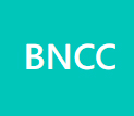 Icon 100% alinhada à BNCC